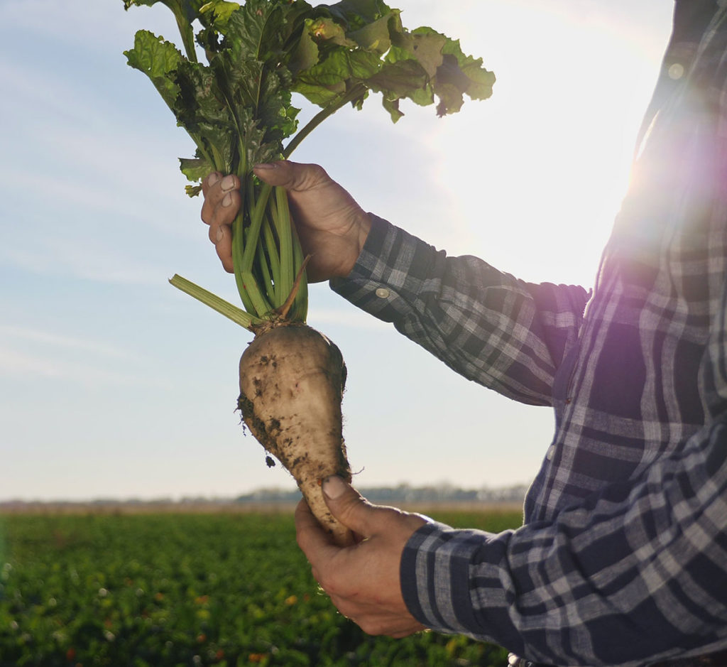 Bio-Rübenzucker und andere Bio-Produkte bestellen | ATCO